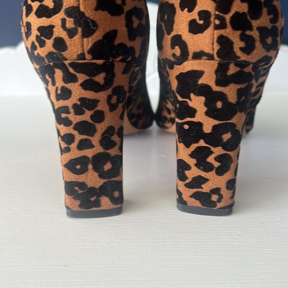 Leopard print booties Steve Madden - Picture 4 of 6
